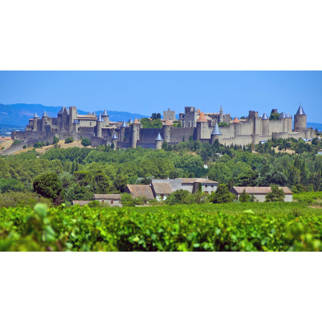 Pierre et Antonin Chardonnay I.G.P. Cité de Carcassonne
