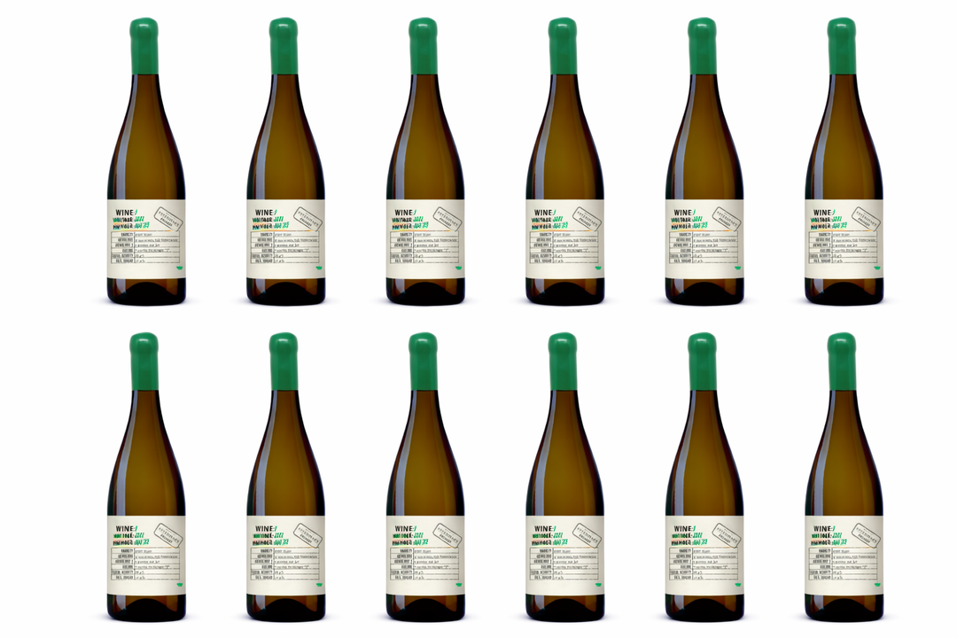 Weingut Esterhazy 2022 Nr 9 Pinot Blanc Tonneaux