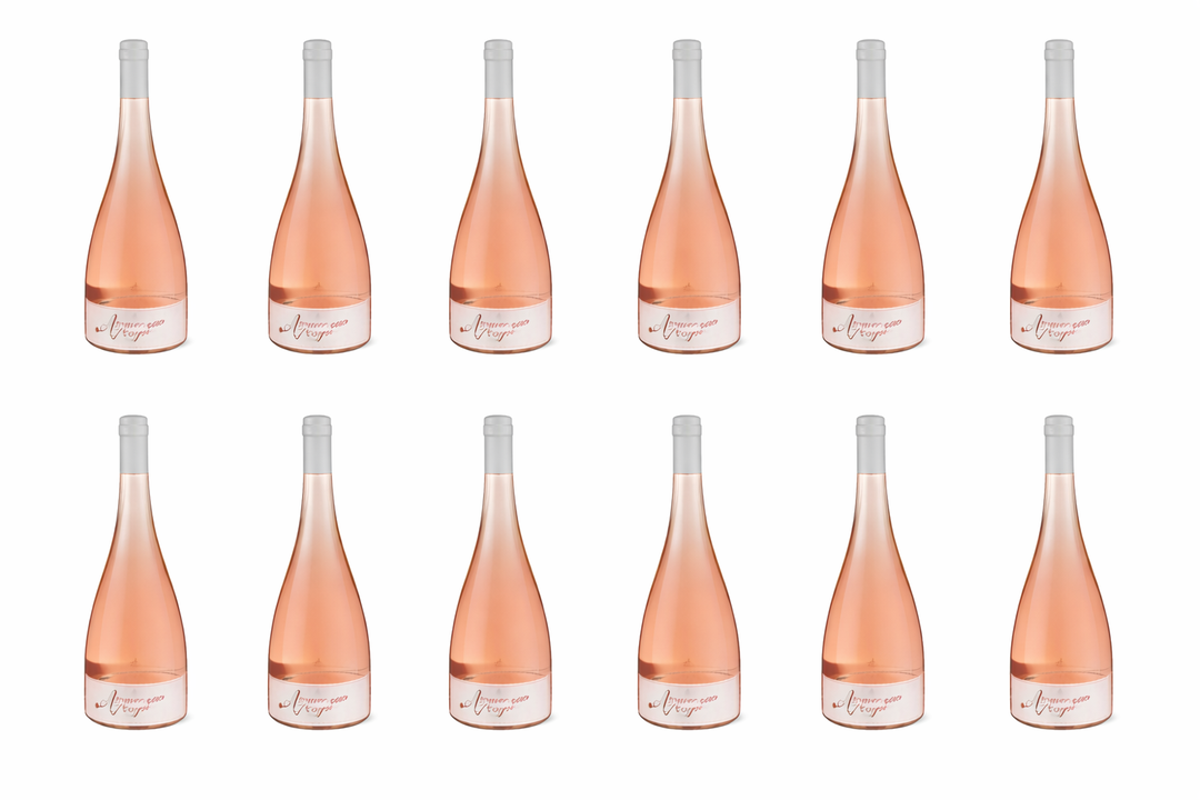 2024 Amour de Tropez Rose