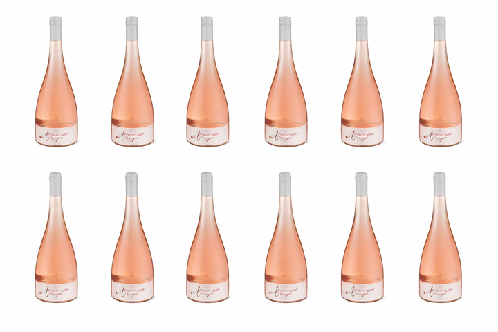 2024 Amour de Tropez Rose