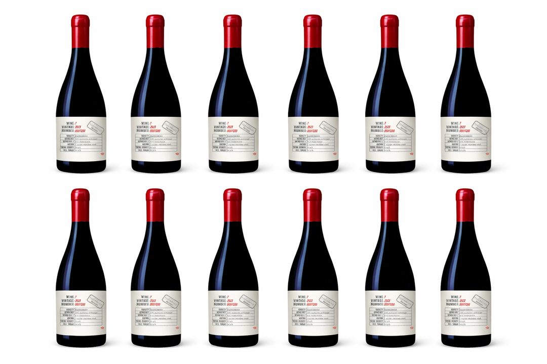 Weingut Esterhazy 2023 - Nr. 7 - Blaufränkisch