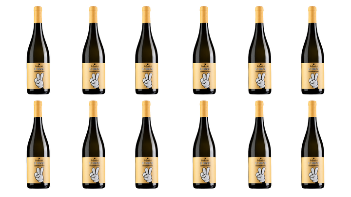2025 Le Coste Vermentino