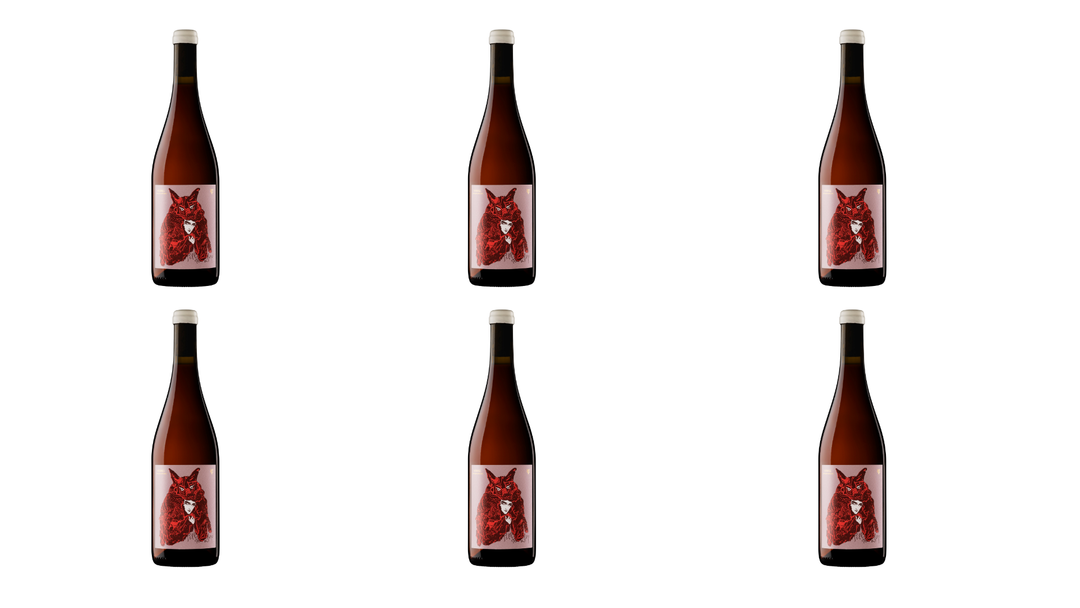2025 Pell de Llop Sumoll